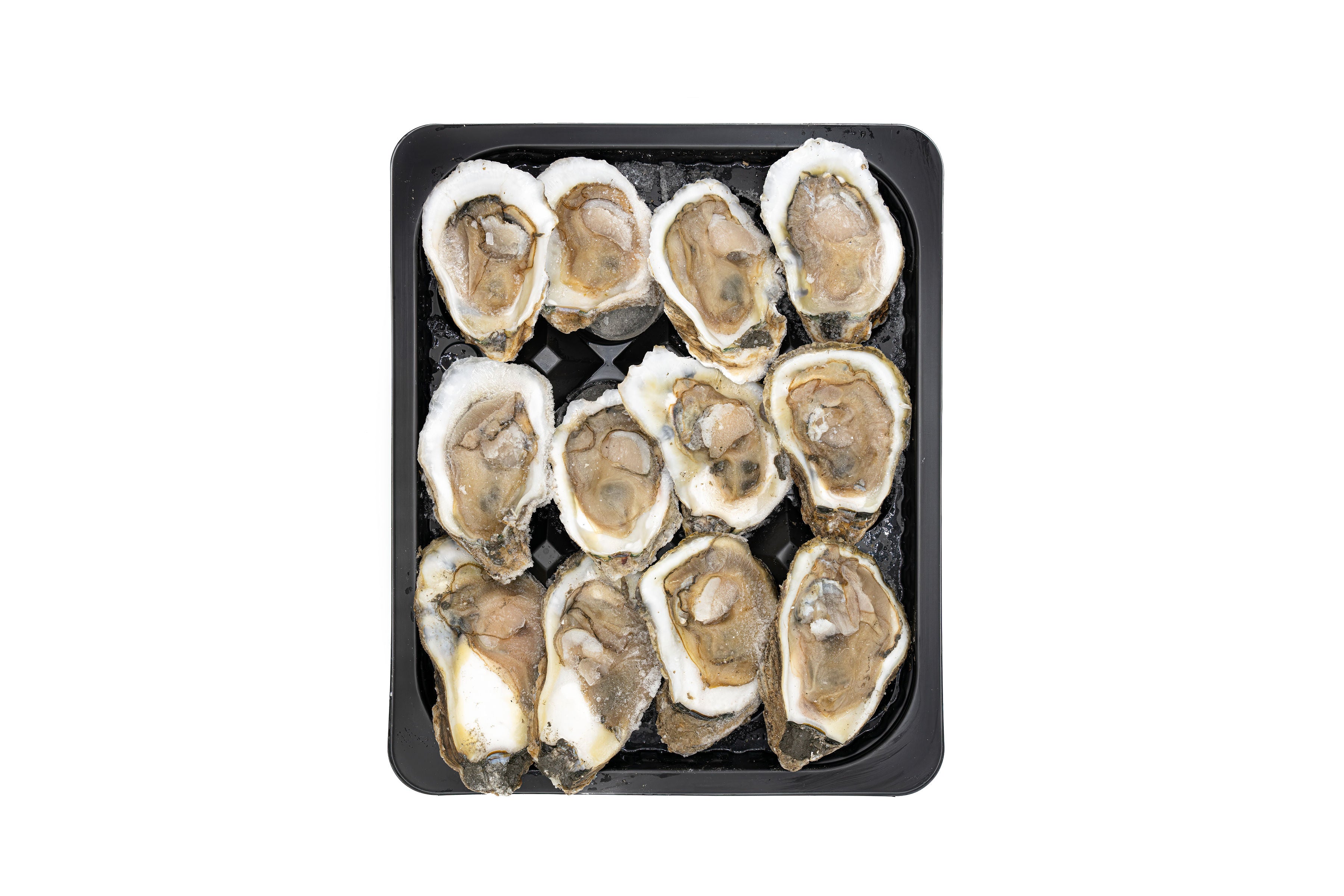 Oysters on the Half Shell