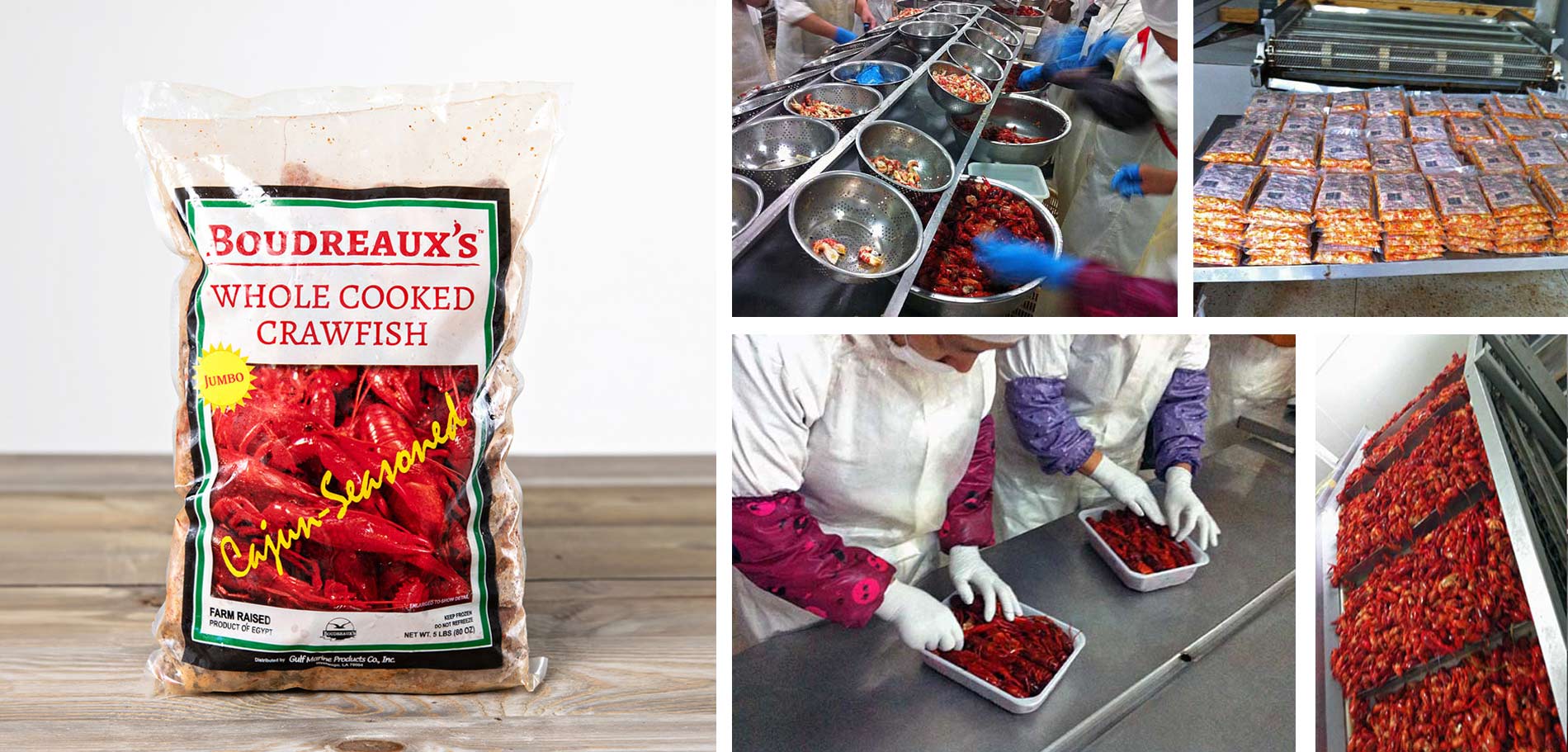 frozen avocados and guacamole factory and distributors